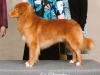 Barlow-Grand-CH-Cropped