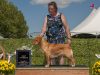 Encore-BOB-AKC-2025-scaled