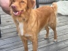 Encore-happy-smile