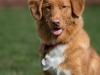 Fiona 1 year old
