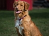 Fiona 1 year