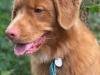 Jaxx-profile