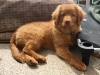 Journey-3-months