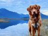 Lacey-Summer-2023
