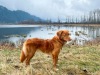 Lacey-spring-2023