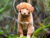 Lacey 7a