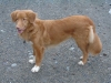 Maggie-at-8-months_2