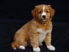 8-weeks