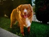 Patsy-photo