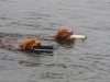 Max and Copper in the water