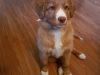 Veela-at-3-months-e1587747677250