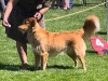 photo3a